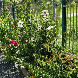  Hébergement de vacances Hibiscus De Charme Avec Piscine Privee